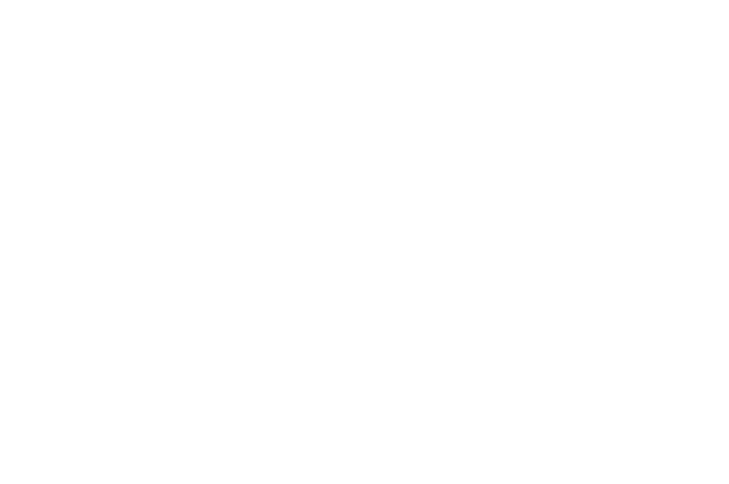 official nominee wifi film festival 2025 (1)